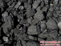 無煙煤塊與水產(chǎn)品 優(yōu)質(zhì)能源與健康美食的雙重商機(jī)