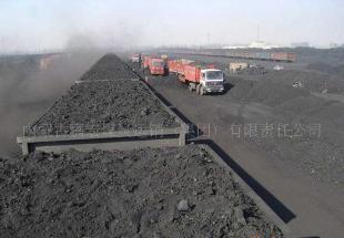 優質5800卡電煤 315元直銷價帶雙票，能源市場新選擇