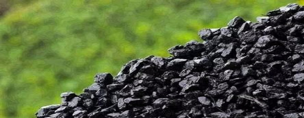 直擊爭議 老局長觀點存偏，煤炭化工轉型引領清潔能源新路徑