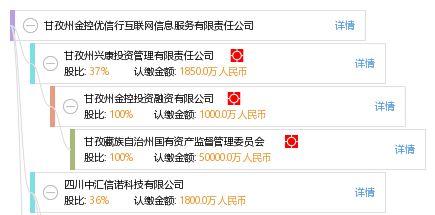 甘孜州金控優(yōu)信行互聯(lián)網(wǎng)信息服務有限責任公司 探索互聯(lián)網(wǎng)信息服務新模式